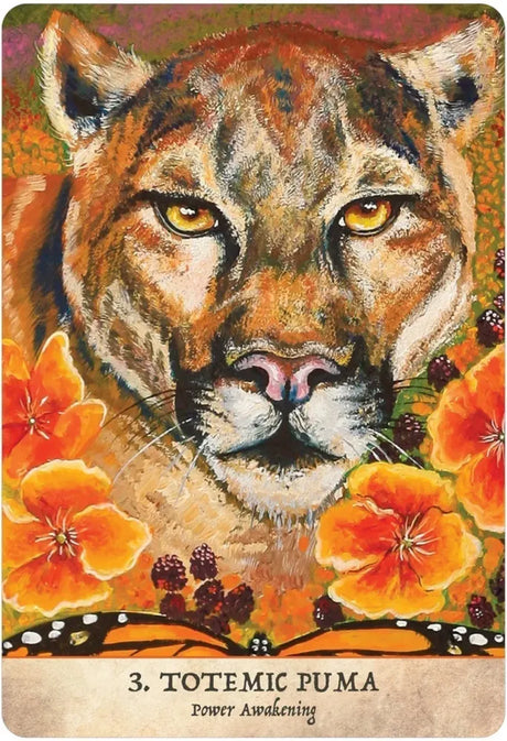 Earth Warriors Oracle Deck - 3