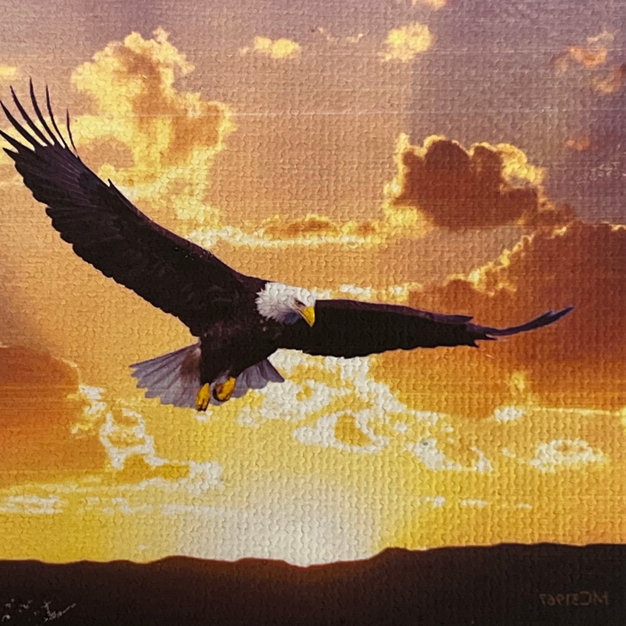 Eagle flying in sunset 
