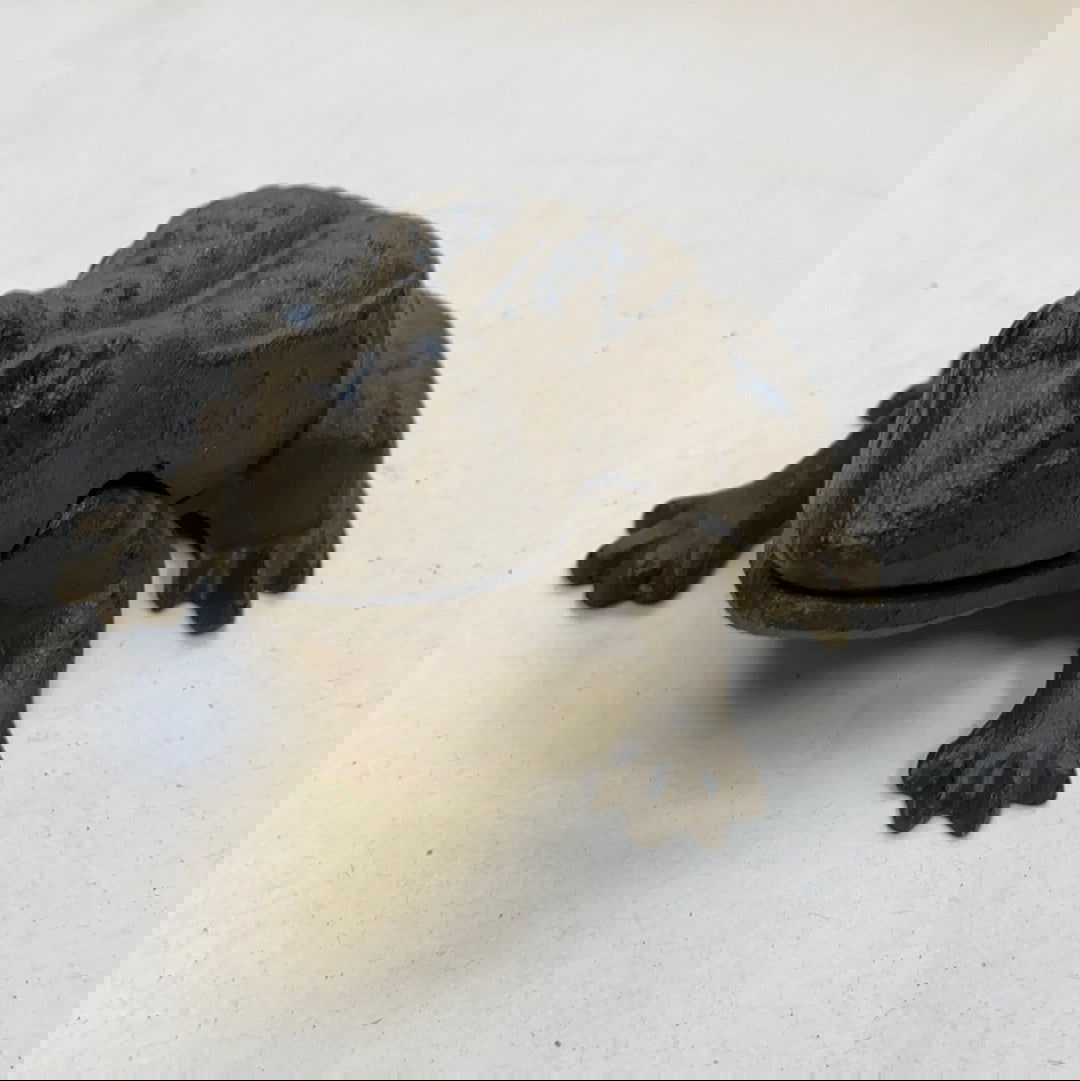 Frog Two Piece Cast Iron - 