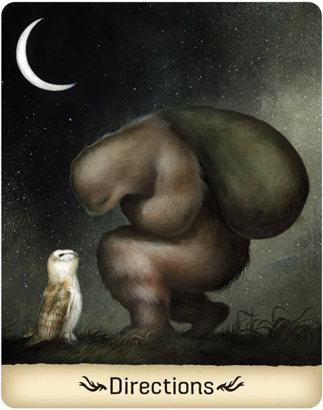 Gentle Creature Wisdom Oracle - Directions