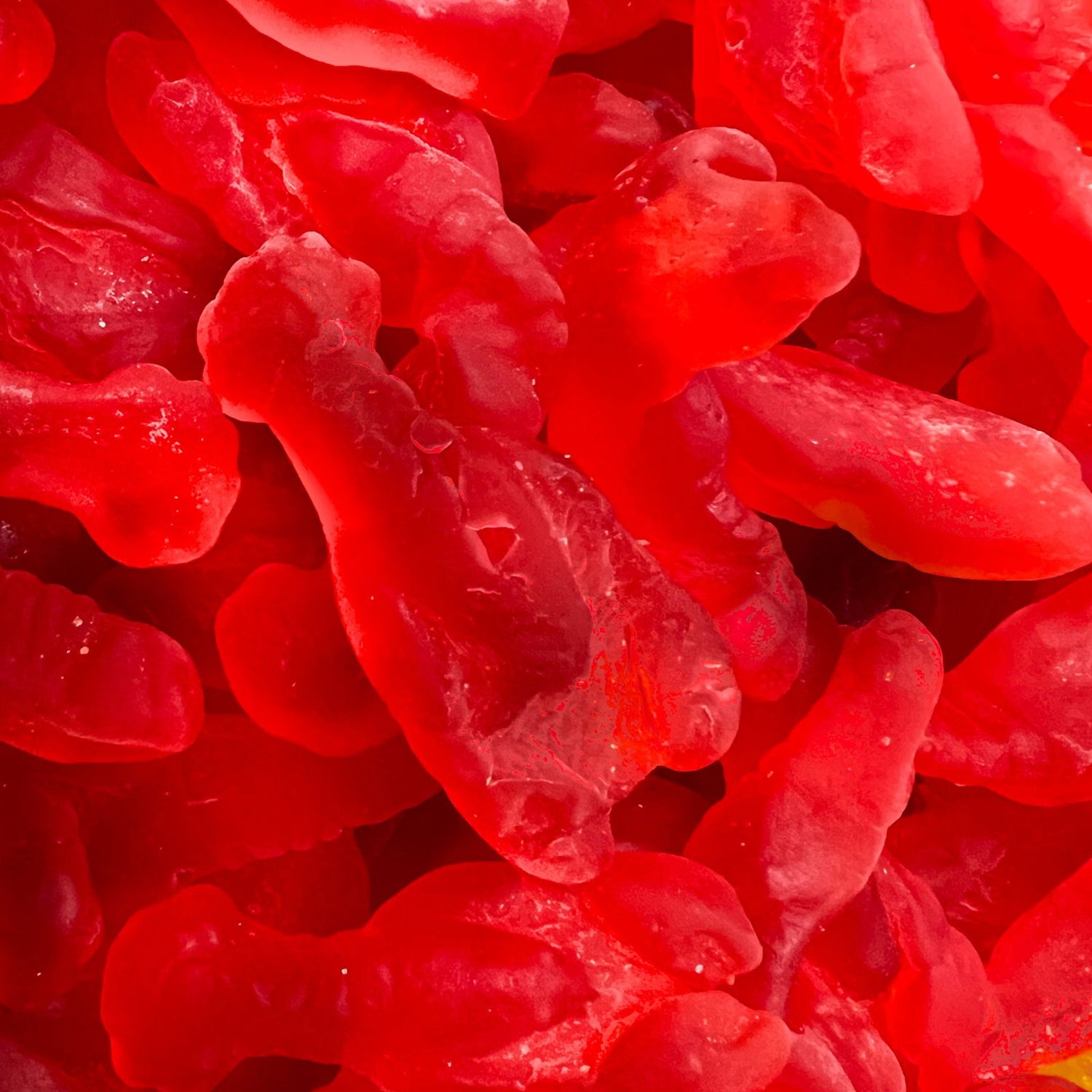 Gummi Lobsters - Red Gummy Lobsters 1" long 