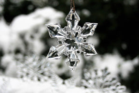 Happy Holidays - 