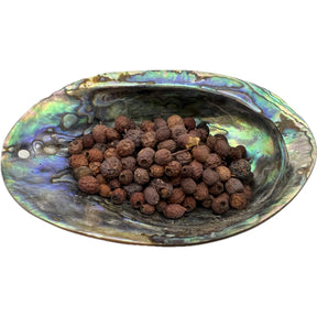 Dried Hawthorn Berries Whole in an abalone shell.