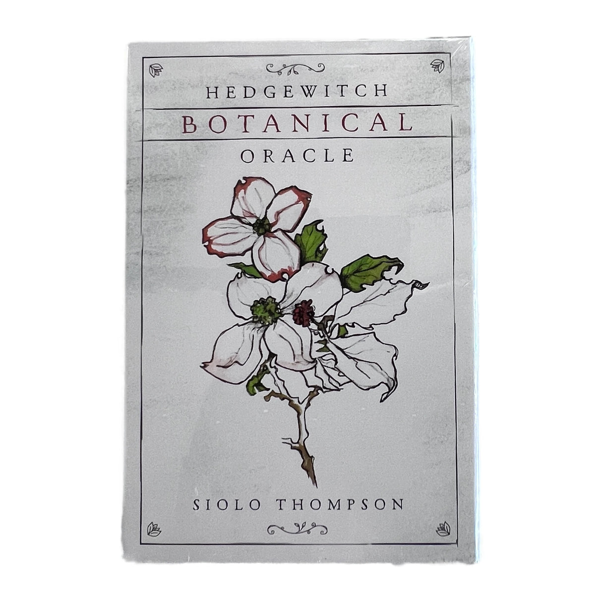 hedgwitch oracle white box with drawing of a plant 