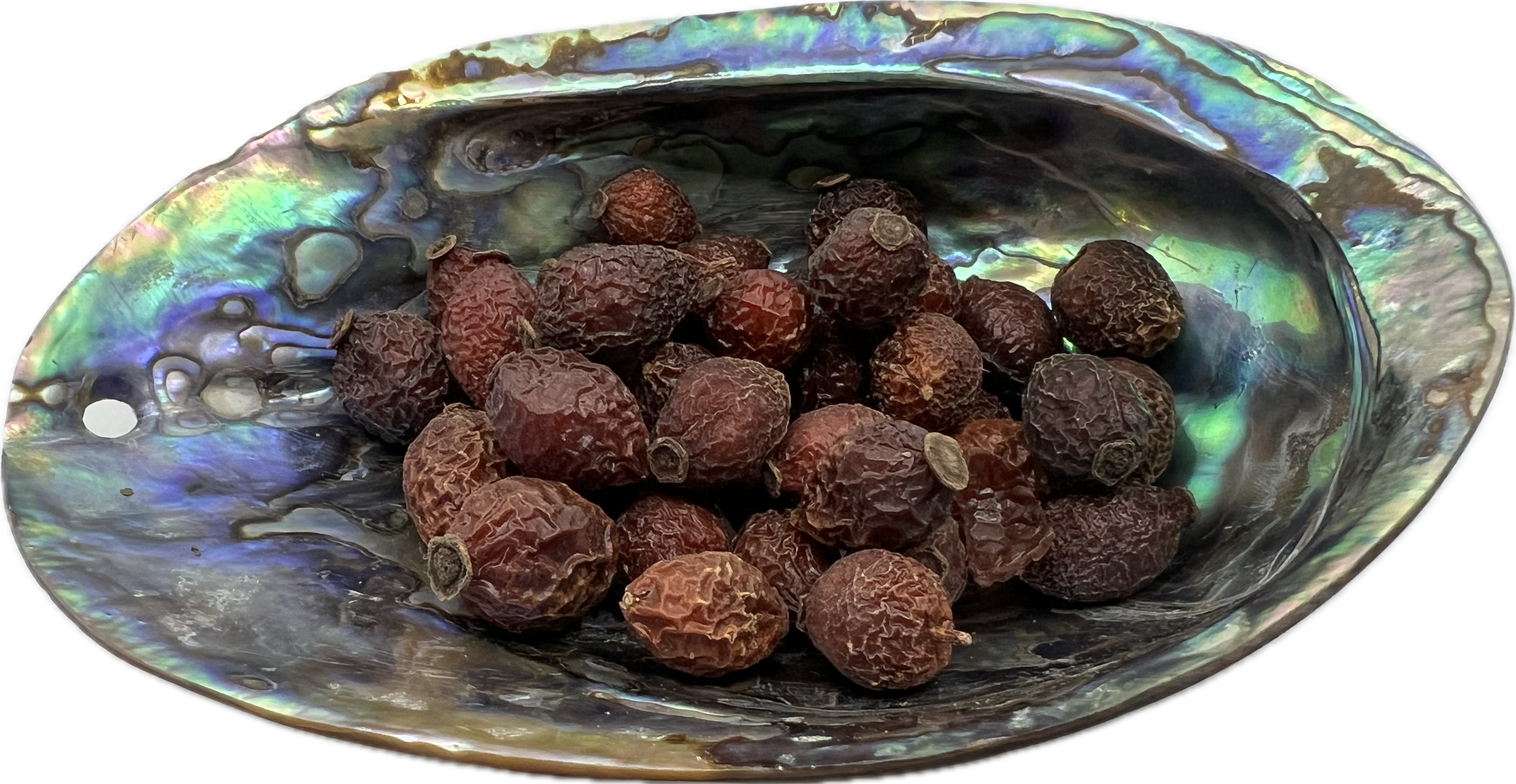 shell bowl with round pellet size herbs 