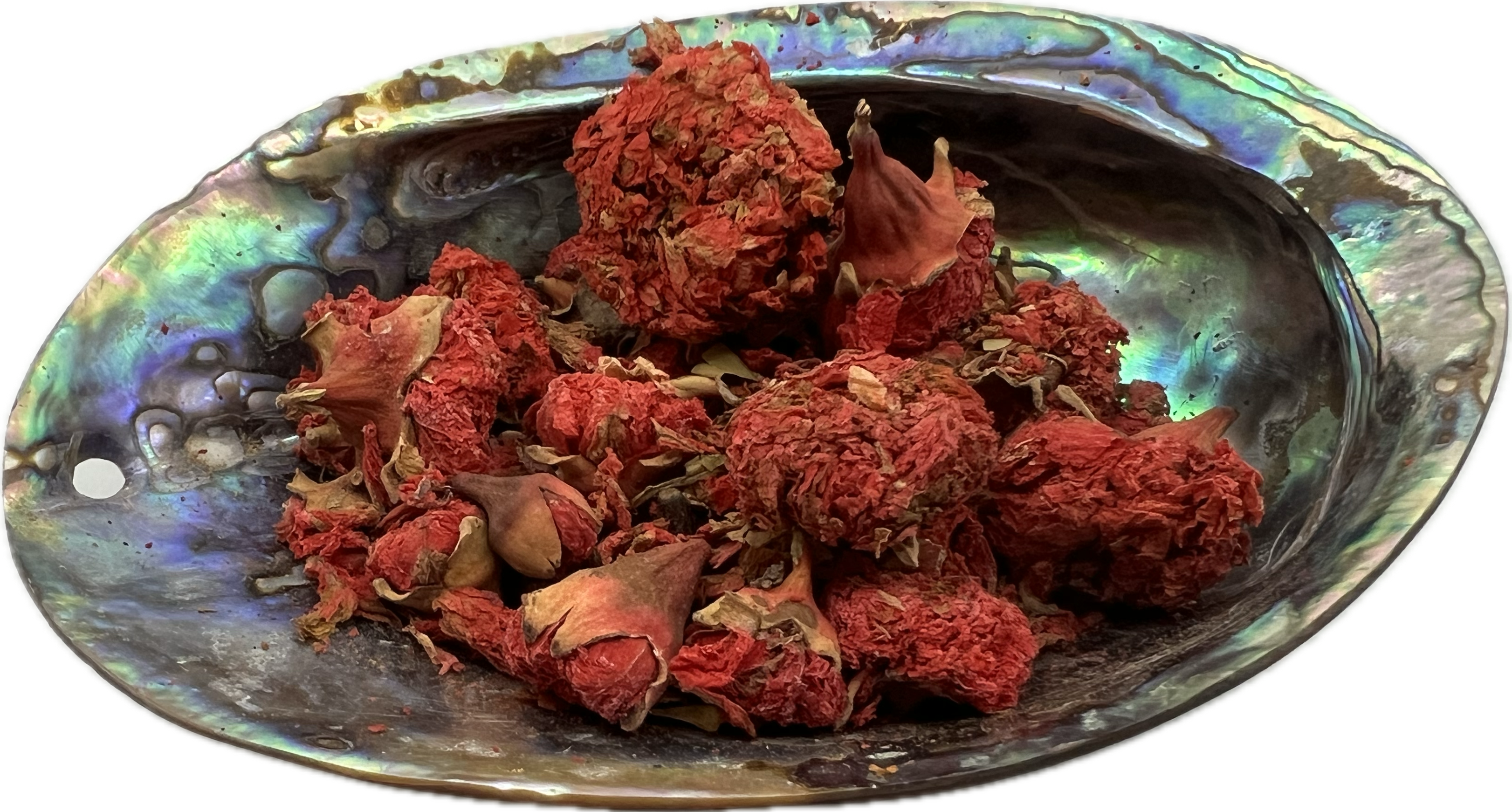 bright red colored dried flower tops in a shell bowl 