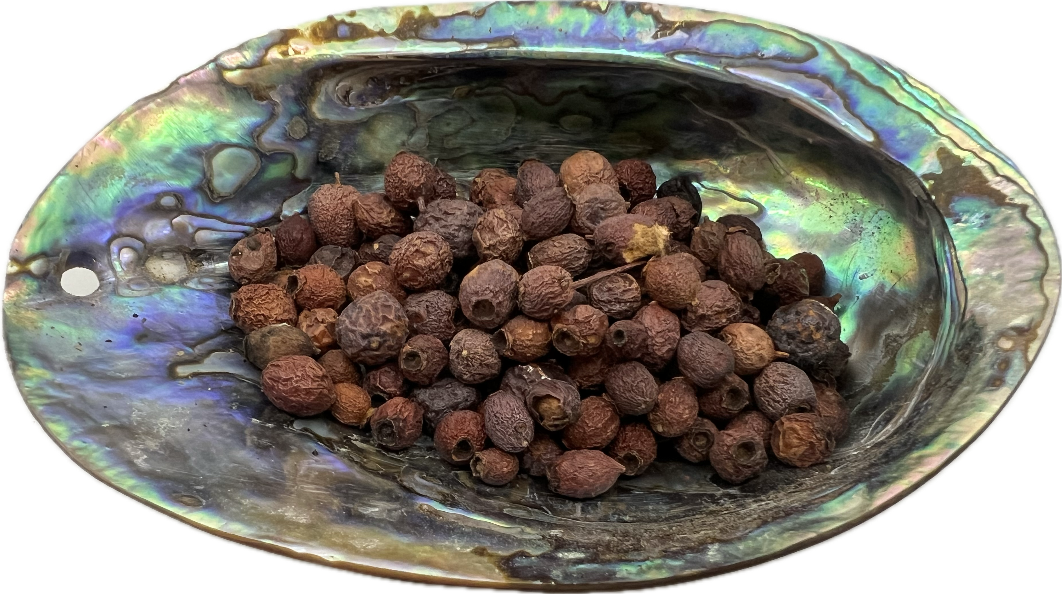 shell bowl filled with round dried berries 