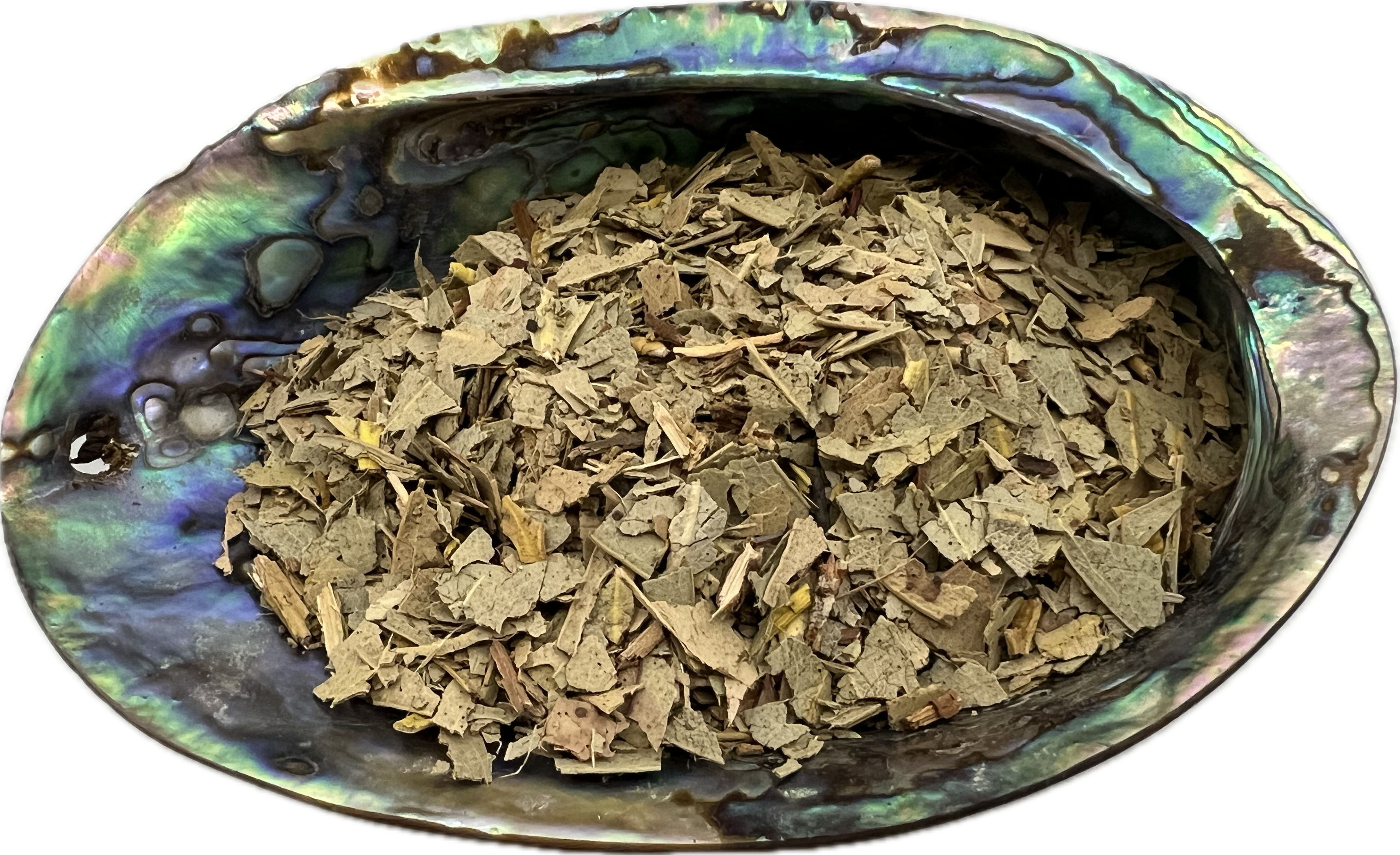 shell bowl filled with dried leaf 