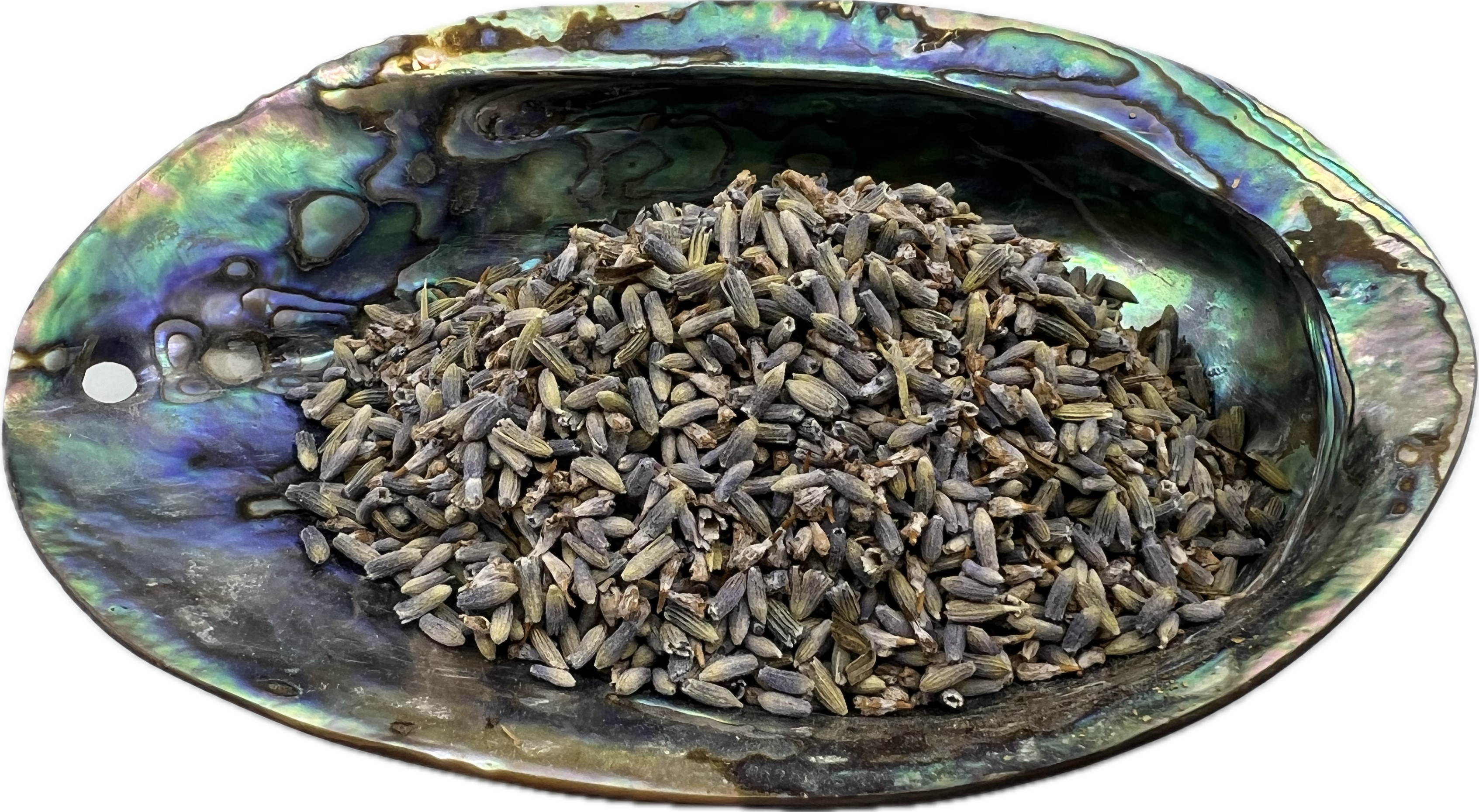 shell bowl filled with dried herbs