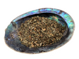 Abalone shell holding the cut up flowers and leaf 