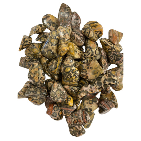 Tumbled Jaguar Stone stones with a smooth, polished finish and a unique spotted pattern featuring brown, gold, and black hues.
