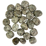Tumbled Kiwi Jasper stones with a smooth, polished finish and a pale green color with distinctive black flecks resembling seeds.