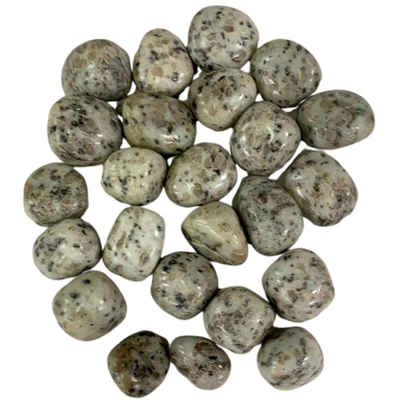Tumbled Kiwi Jasper stones with a smooth, polished finish and a pale green color with distinctive black flecks resembling seeds.