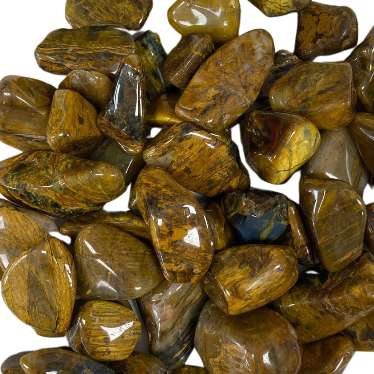 Lionskin Tumbled