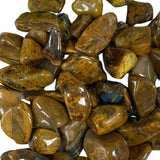 Lionskin Tumbled