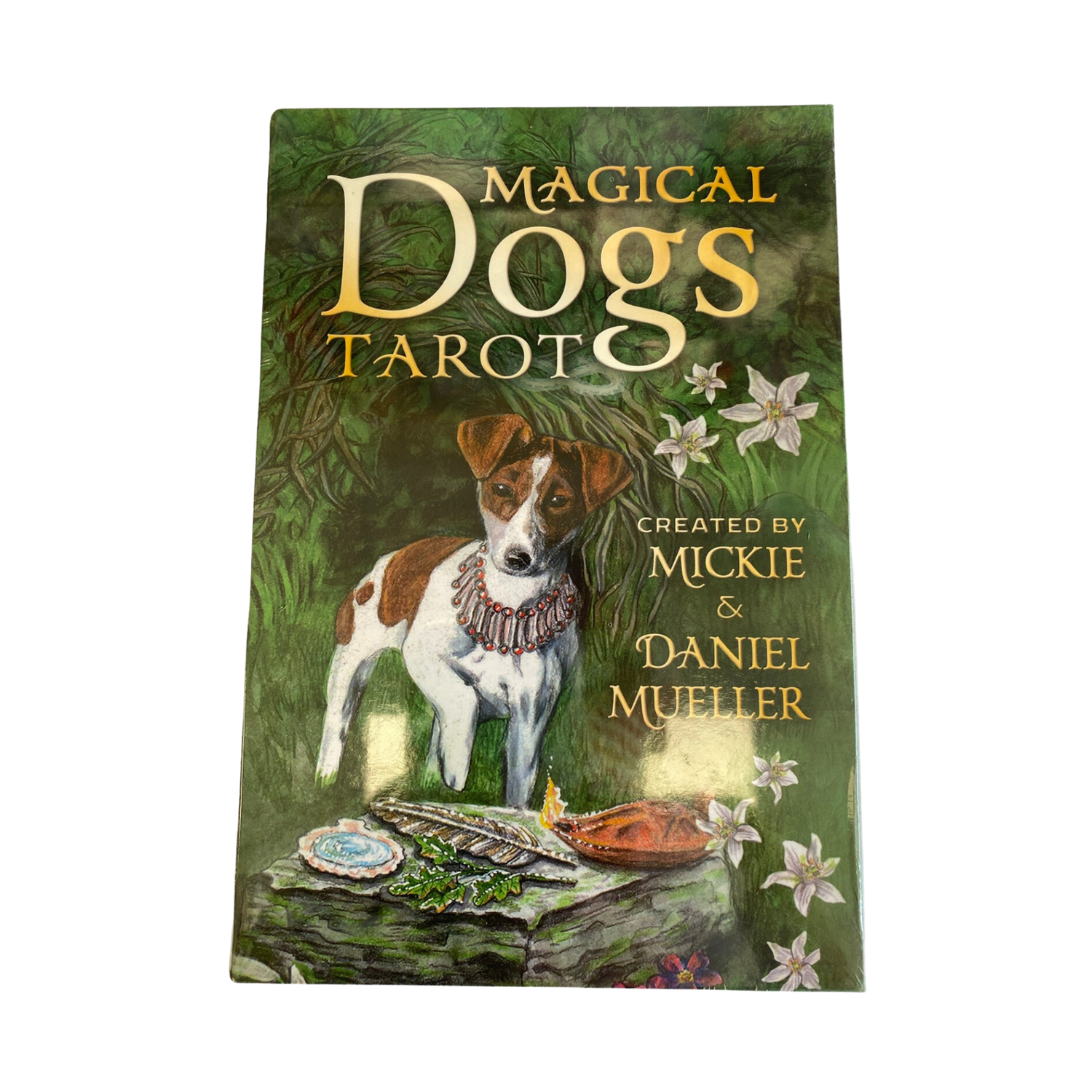 Magical Dogs Tarot Deck Set - Magical Dogs Tarot Deck Set front cover
