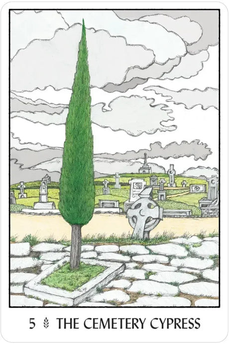 Oracle of the Trees - 5