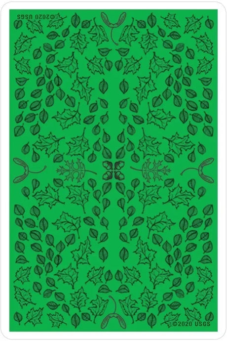 Oracle of the Trees - Back of Card