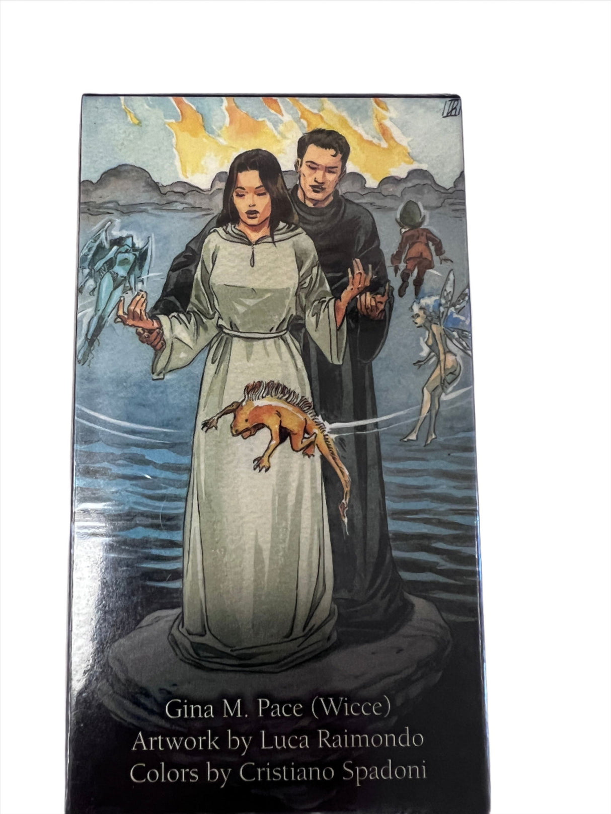 Pagan Tarot - dark back of card box with image oof man and woman in robes with strange creatures flying around them 