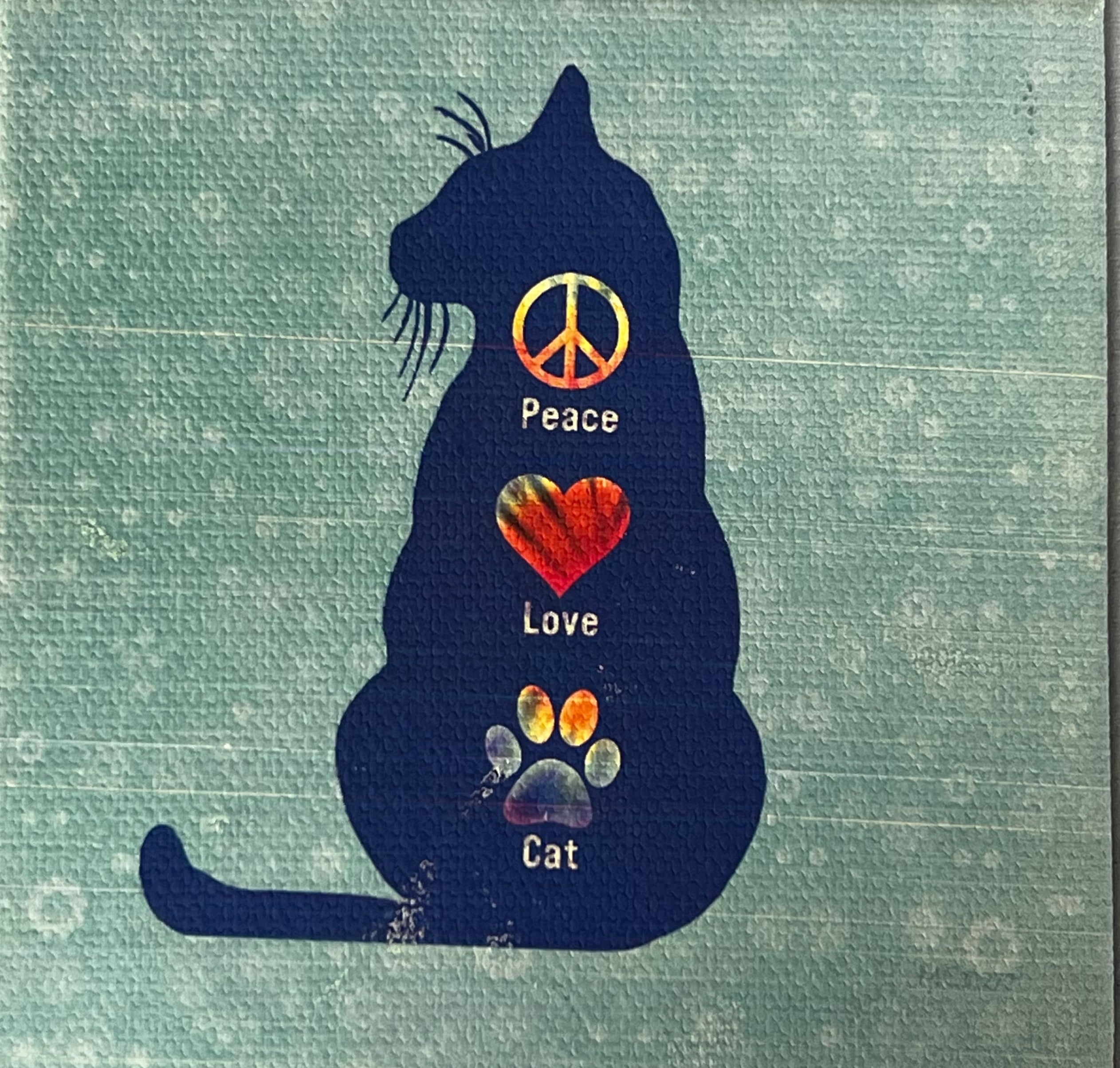 teal magnet  shadow image of cat message inside 