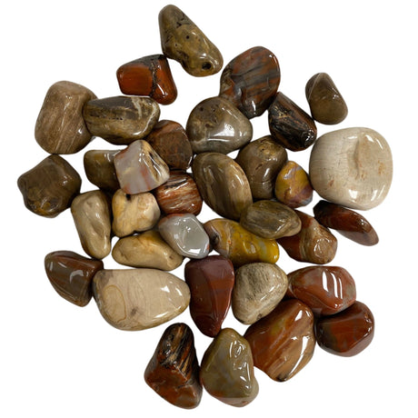 Petrified Wood Tumbled - Polished Petrified Wood stones in various shades of brown, red, and gray.