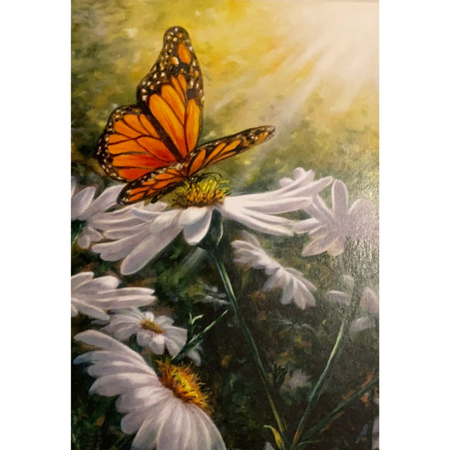 Greeting card featuring a monarch butterfly perched on a daisy in a field with sunlight shining through the leaves.