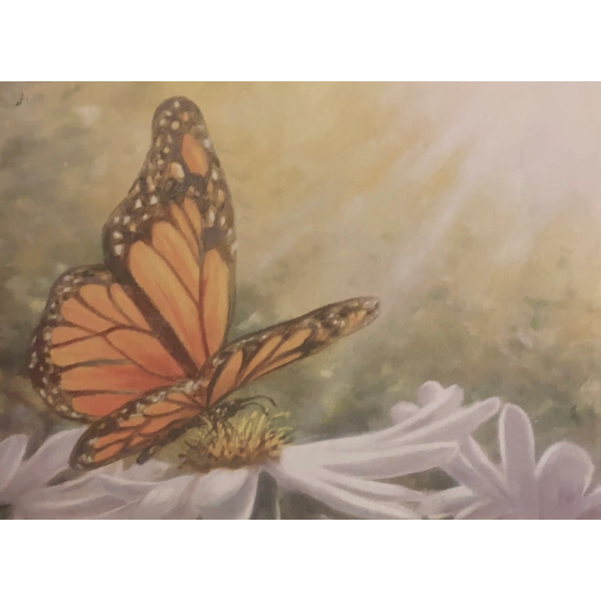 Rays of Flight Greeting Cards