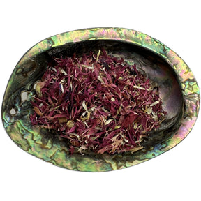 Dried Red Cornflower in an abalone shell.