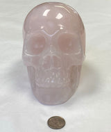 Rose Quartz Skull 5" - 