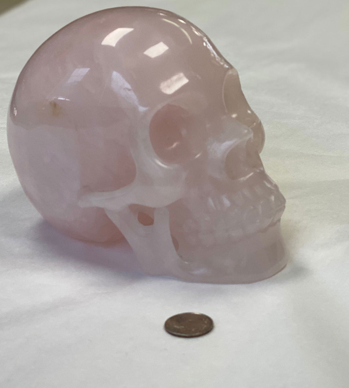 Rose Quartz Skull 5" - 