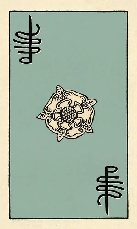 Smith Waite Tarot Tin - Back of Card
