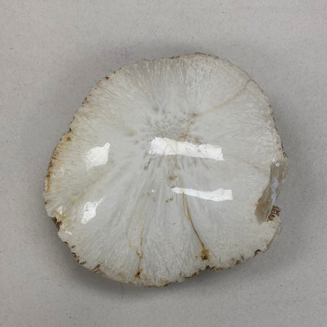 Scolecite Polished & Raw - 