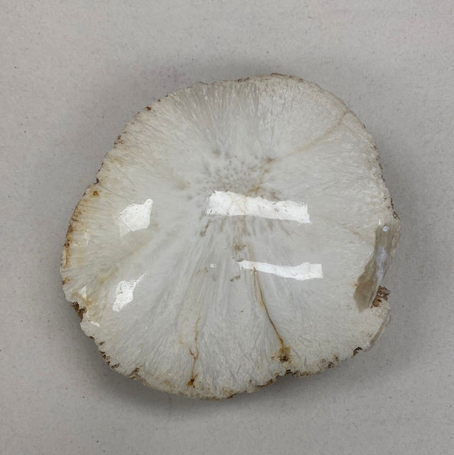 Scolecite Polished & Raw - 