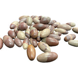 Shiva Lingam Tumbled - Small polished egg shaped stone with gray and reddish brown highlights 