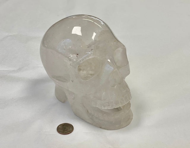 Singing Skull - 