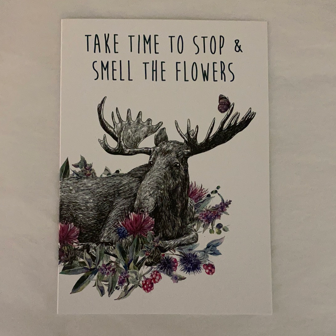 Take Time Moose Greeting Cards - 