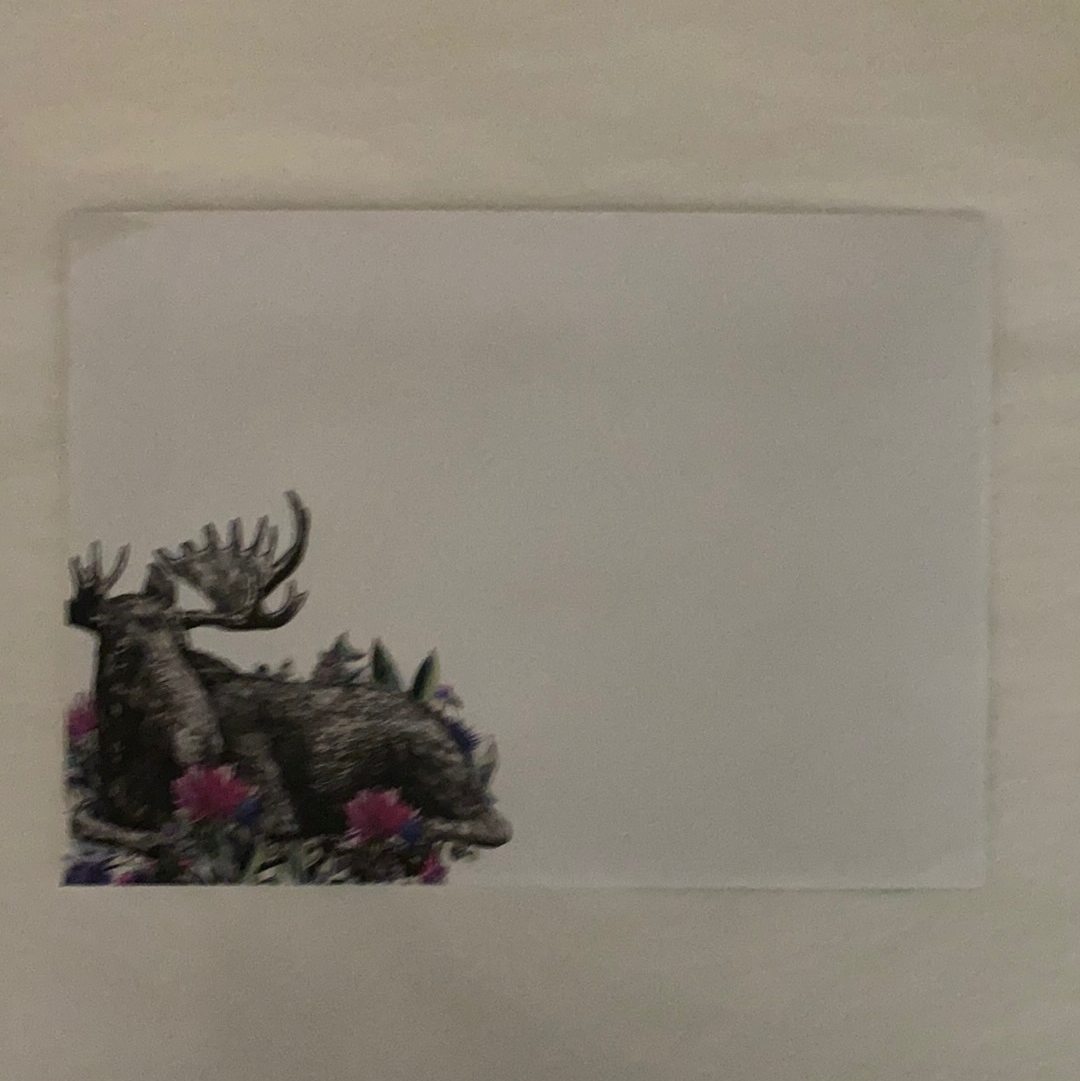 Take Time Moose Greeting Cards - 