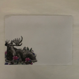 Take Time Moose Greeting Cards - 