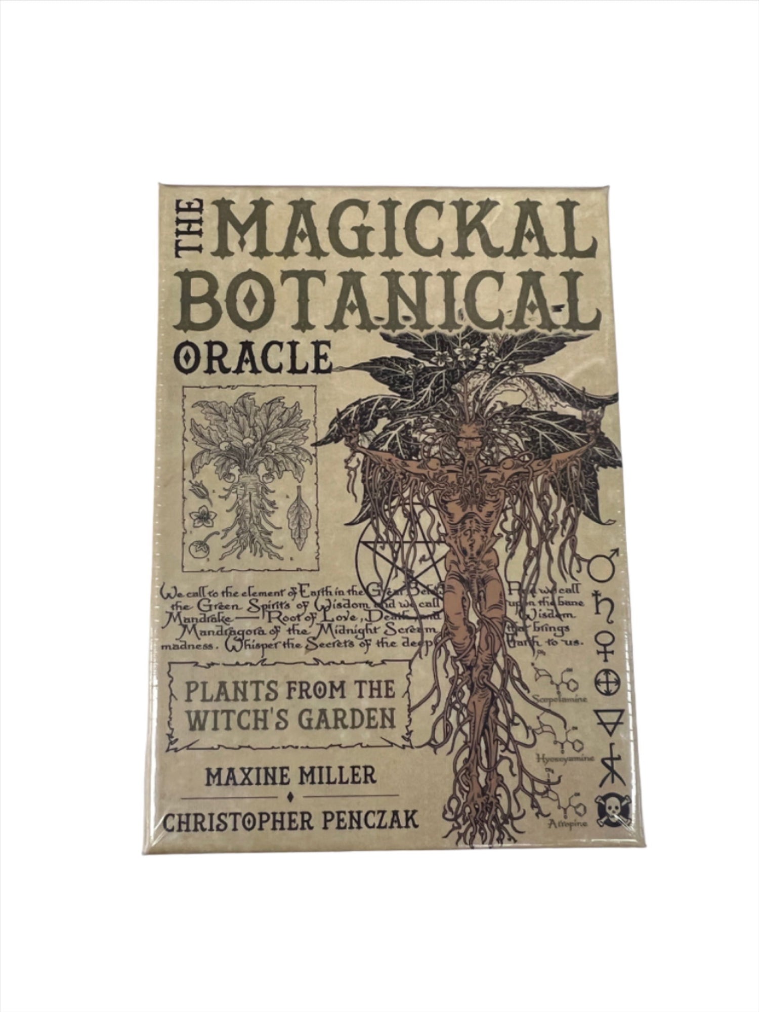 The Magickal Botanical Oracle - Beige colored card box with words The magical Botanical Oracle image of man and plants intertwined 