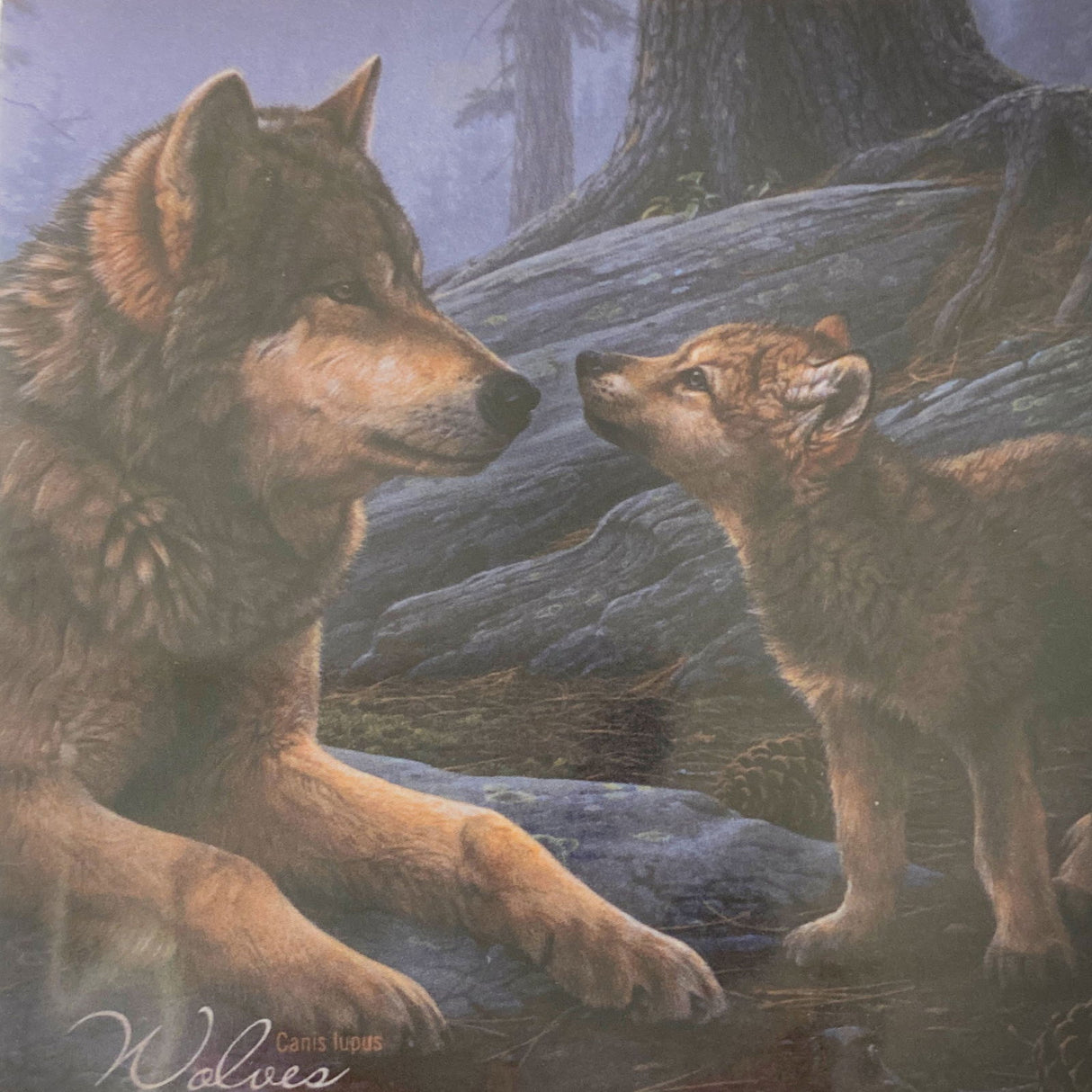 Wolf Family Magnet - Image of a mother wolf and her cub at night 