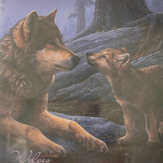 Wolf Family Magnet - Image of a mother wolf and her cub at night 