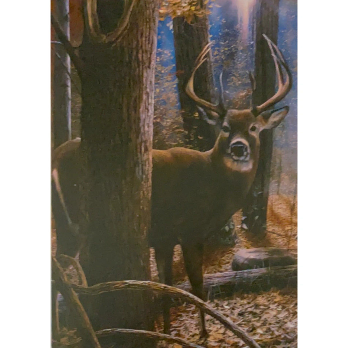 Greeting card with a deer standing in a forest.