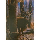 Greeting card with a deer standing in a forest.