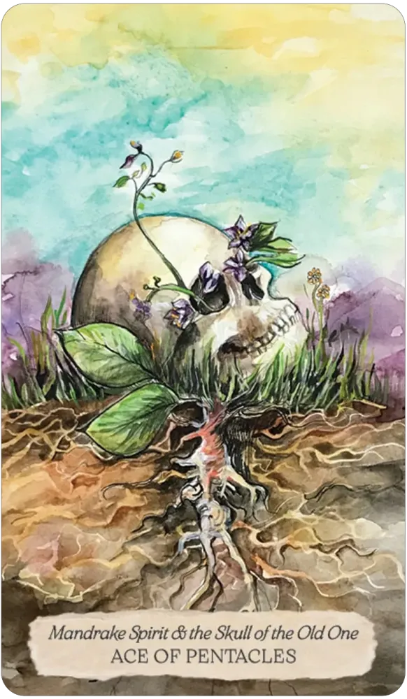 Bonestone & Earthflesh Tarot: The Reawakening