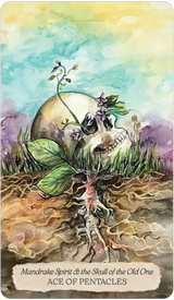 Bonestone & Earthflesh Tarot: The Reawakening