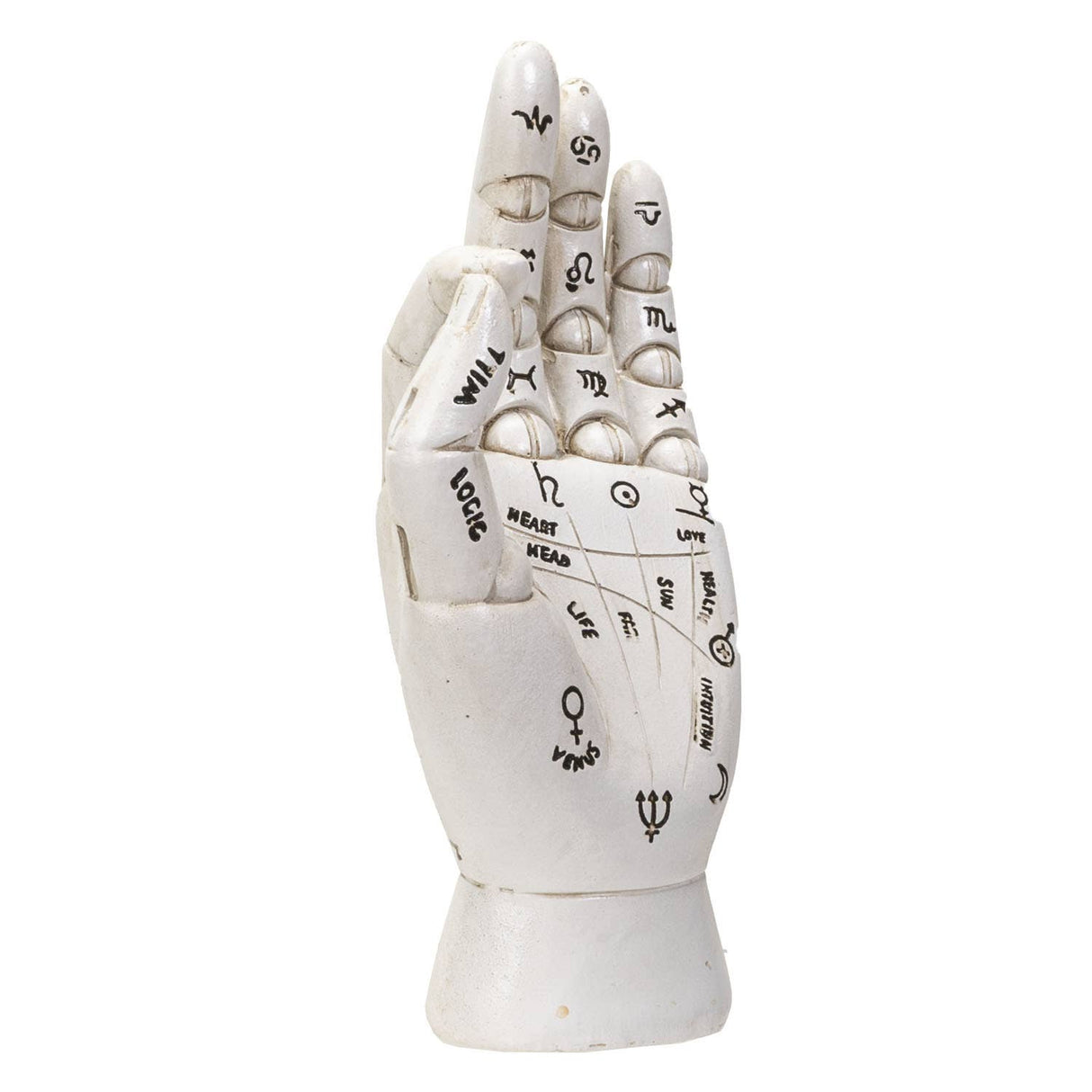 An anatomical model of a human hand showing palm and dorsal side with printed astrological and chakra symbols and labels, isolated on a white background.