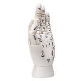 An anatomical model of a human hand showing palm and dorsal side with printed astrological and chakra symbols and labels, isolated on a white background.