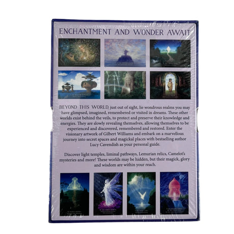 hidden worlds back of box in purple with card images and description 
