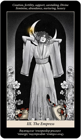 Soul Reflections Tarot