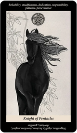 Soul Reflections Tarot